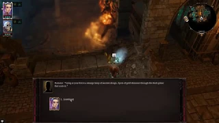 Divinity: Original Sin 2 - Djinn breaks the pre-battle dialog