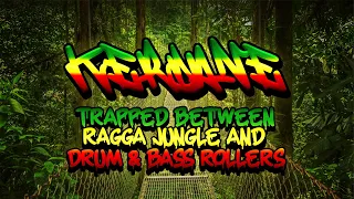 Trapped between Ragga Jungle and Drum & Bass Rollers - Ragga Jungle Drum and Bass Rollers Mix