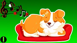 Harp Music For Dogs