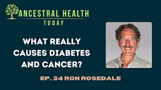 Ron Rosedale - What Really Causes Diabetes and Cancer? - (Ancestral Health Today Episode 024)