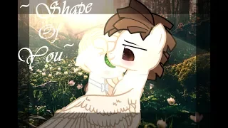 ●•PMV-Shape of you●•(В честь Роззи ( ͡° ͜ʖ ͡°) )