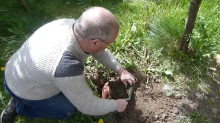 Bob shows how to make a bumblebee home