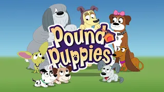 Pound Puppies Season 3 Episode 8 - I'm Ready for my Close Pup