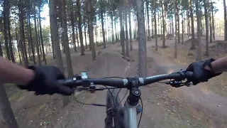 Jump Trail kinda woods :)  (BBSHD)