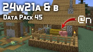 News in Data Pack Version 45 (24w21a)
