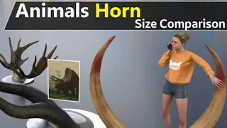 Animal Horn Size Comparison | Extinct Anima size Fictional Animal horn size