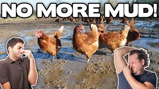 EASY TRICK to FIX MUDDY CHICKEN RUNS | No More Stinky Chickens!