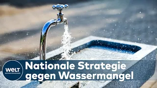 MIT HITZE KOMMT WASSERKNAPPHEIT: Svenja Schulze (SPD) plant nationale Wasserstrategie I WELT News