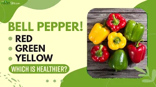 Benefits Of Bell Peppers: Red, Yellow And Green Which Out Of All Three Is Healthier?