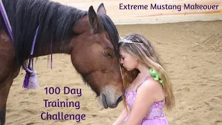 CA Extreme Mustang Makeover 2020- Snooze's Journey (100 Day Wild Mustang Challenge)