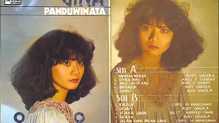 VINA PANDUWINATA (INDONESIA, 1980) - CITRA BIRU