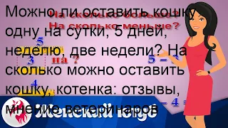 Можно ли оставить кошку одну на сутки, 5 дней, неделю, две недели? На сколько можно оставить кошку.