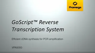 GoScript™ Reverse Transcription System