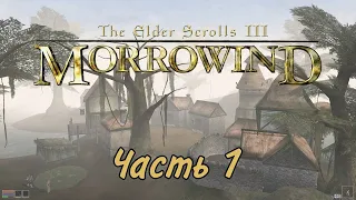 The Elder Scrolls III: Morrowind. Прохождение. Часть 1. Сейда Нин.