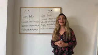 Spanish for beginners. Emotions