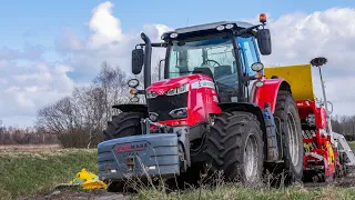 Oporowy siew trawy na popiołach 2023 ★ Massey z Ekwadoru?★ MF 7715S & JCB ★ Gr Toruńczak