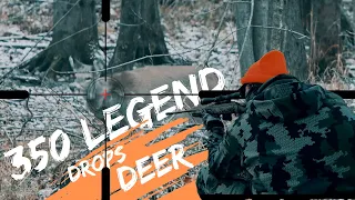 350 Legend vs Deer
