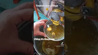 Первая качка меда🍯 Фацелия