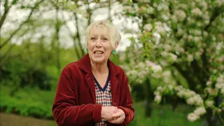 Spring Gardening with Carol Klein🍀Episode 6