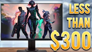 ViewSonic OMNI XG2431 - Best Gaming Monitor Under 300 Dollars?!