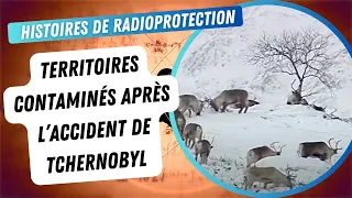 Territoires contaminés: Les Sami après l'accident de Tchernobyl