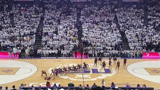 Jazz performance during lsu vs SC game