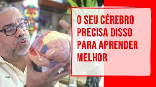 APROVADO EM 1 ANO - O seu cérebro precisa disso para aprender melhor