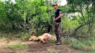 BOWHUNTING AOUDAD IN TEXAS