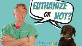 Problems With Euthanasia