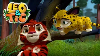 Leo and Tig 🦁 Watch the next episode 🐯 Funny Family Good Animated Cartoon for Kids