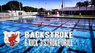 Swimisodes - Backstroke Swim Technique