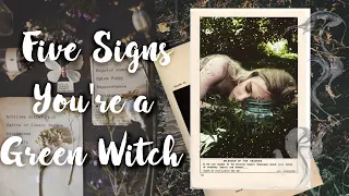 5 signs you are a Green Witch for the Wondering Witch || What kind of Witch are You?