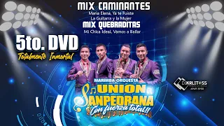 Mix Caminantes 5to DVD Totalmente Inmortal DjKrlitossProduction