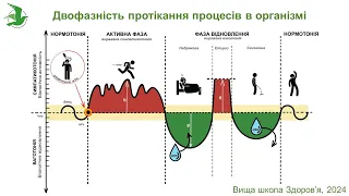 Панічна атака? Як заспокоїти нерви! Алгоритм дій. Марафон Здоров'я лікаря Василя Чайки