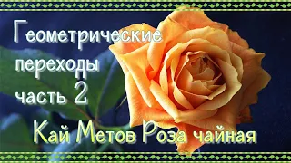 Кай Метов Роза чайная Геометрические переходы часть 2