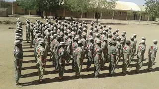 Eritrea amazing sawa military training 👍👍🇪🇷🇪🇷🇪🇷