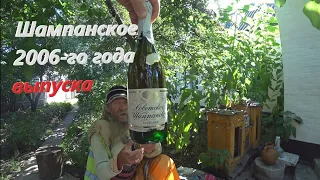 Шампанское 2006-го года в честь восстановления канала/Витя Митя/Гамырин