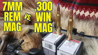 7mm Rem Mag vs .300 Win Mag Barnes LRX Chronograph