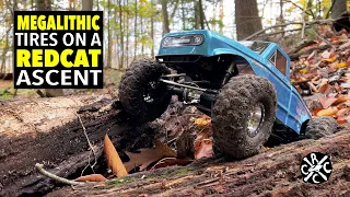 Redcat Ascent With JConcepts Megalithics Out On The Trail