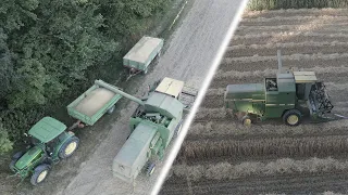 REAL LIFE - Weizen und Hafer Dreschen mit John Deere 1055 - 3m Arbeitsbreite