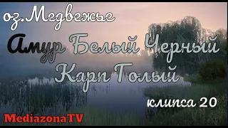 Русская Рыбалка 4 Где КЛюет  оз Медвежье Амур Черный Белый Карп Голый 26 02 23