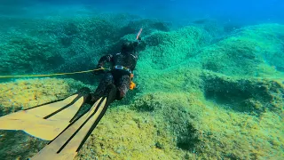 Spearfishing Croatia - Summer 2023