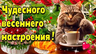 🌷🌞💗Самого доброго весеннего утра!💗Благословенного дня!💗🌞🌷Красивая музыкальная открытка