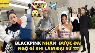 Blackpink nhận được đãi ngộ gì khi làm đại sứ ???