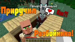 Как приручить разбойника в майнкрафт 1.15 ! Безоружный разбойник