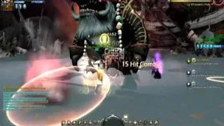 DNSEA - lv40 Paladin Solo Apocalypse -Hell mode ( Pirate Captain  )