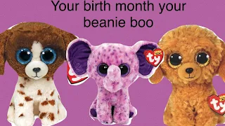 Your Birth Month Your Beanie Boo