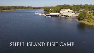 Shell Island Fish Camp - 440 Shell Island Road, St. Marks, FL - Commercial Real Estate