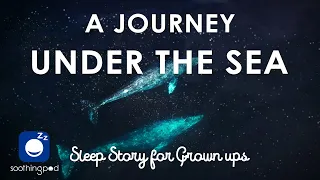 Bedtime Sleep Stories | 🦀 A journey Under the Sea 🐳 | Edutainment Sleep Story for Grown Ups