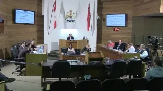 Council Meeting - Jan 30, 2019